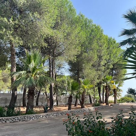 Casette Masseria La Camardia Sava Esterno foto