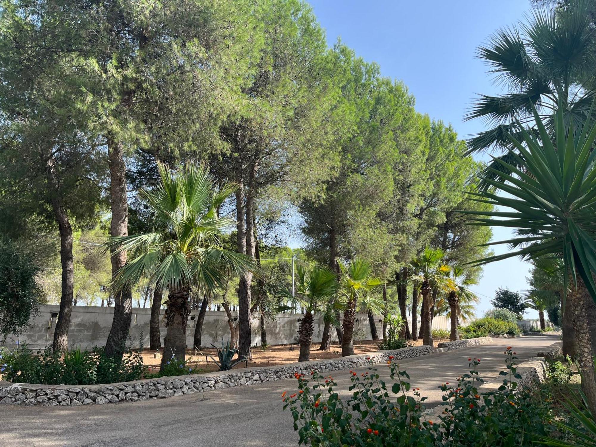 Casette Masseria La Camardia Sava Esterno foto