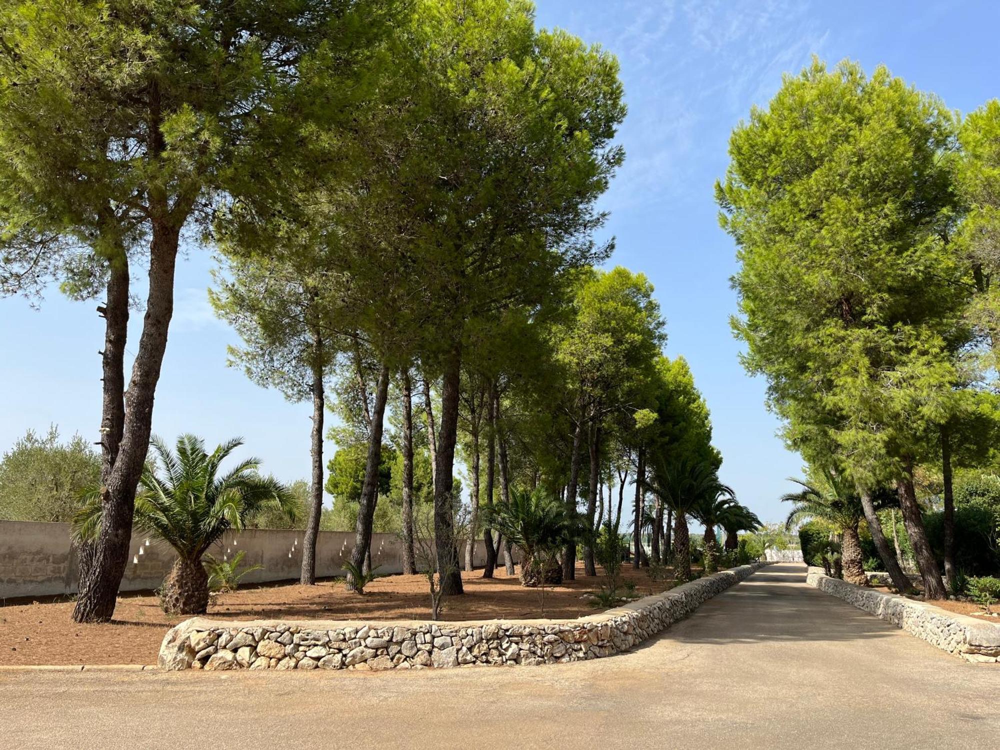Casette Masseria La Camardia Sava Esterno foto