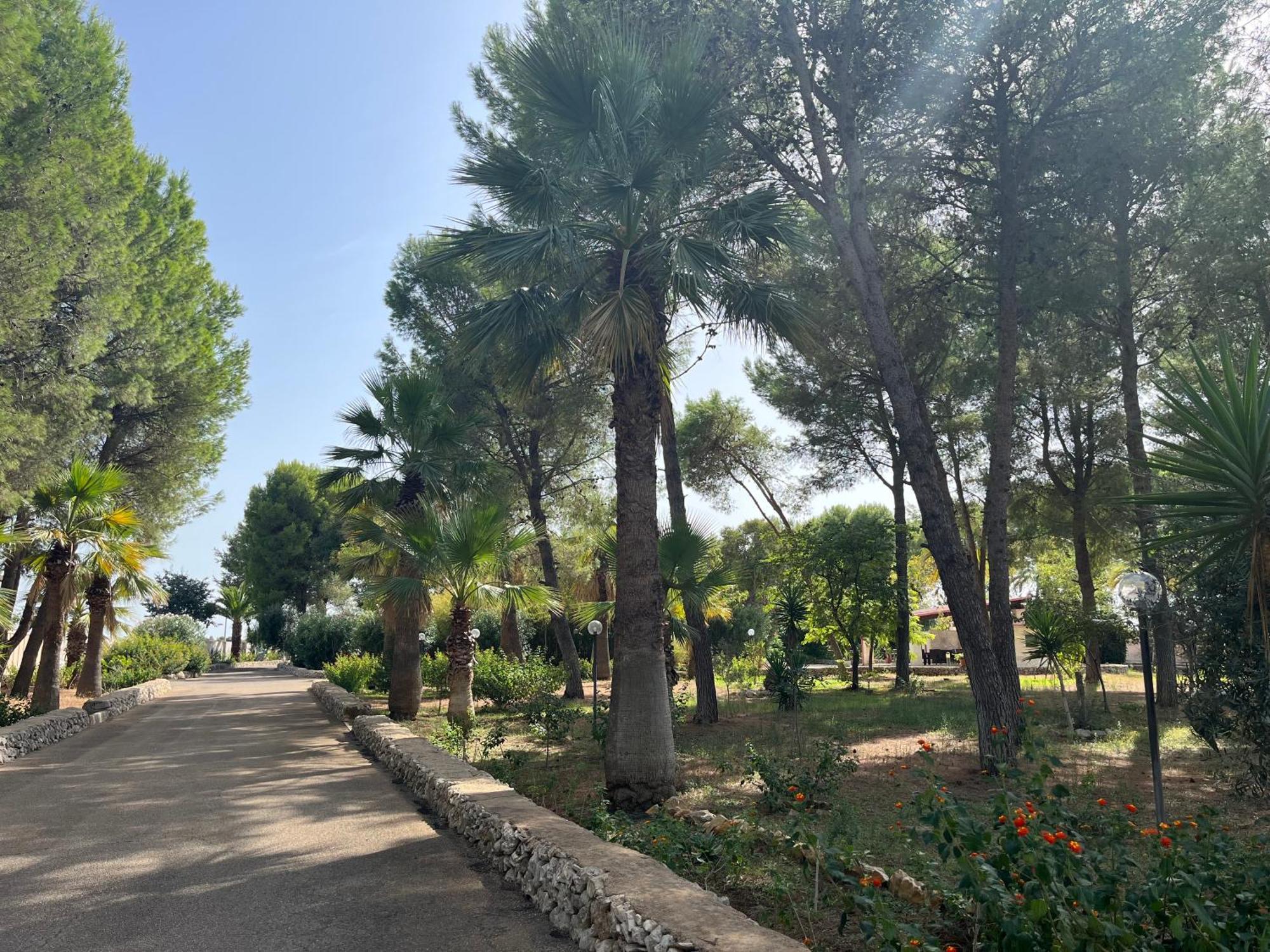 Casette Masseria La Camardia Sava Esterno foto