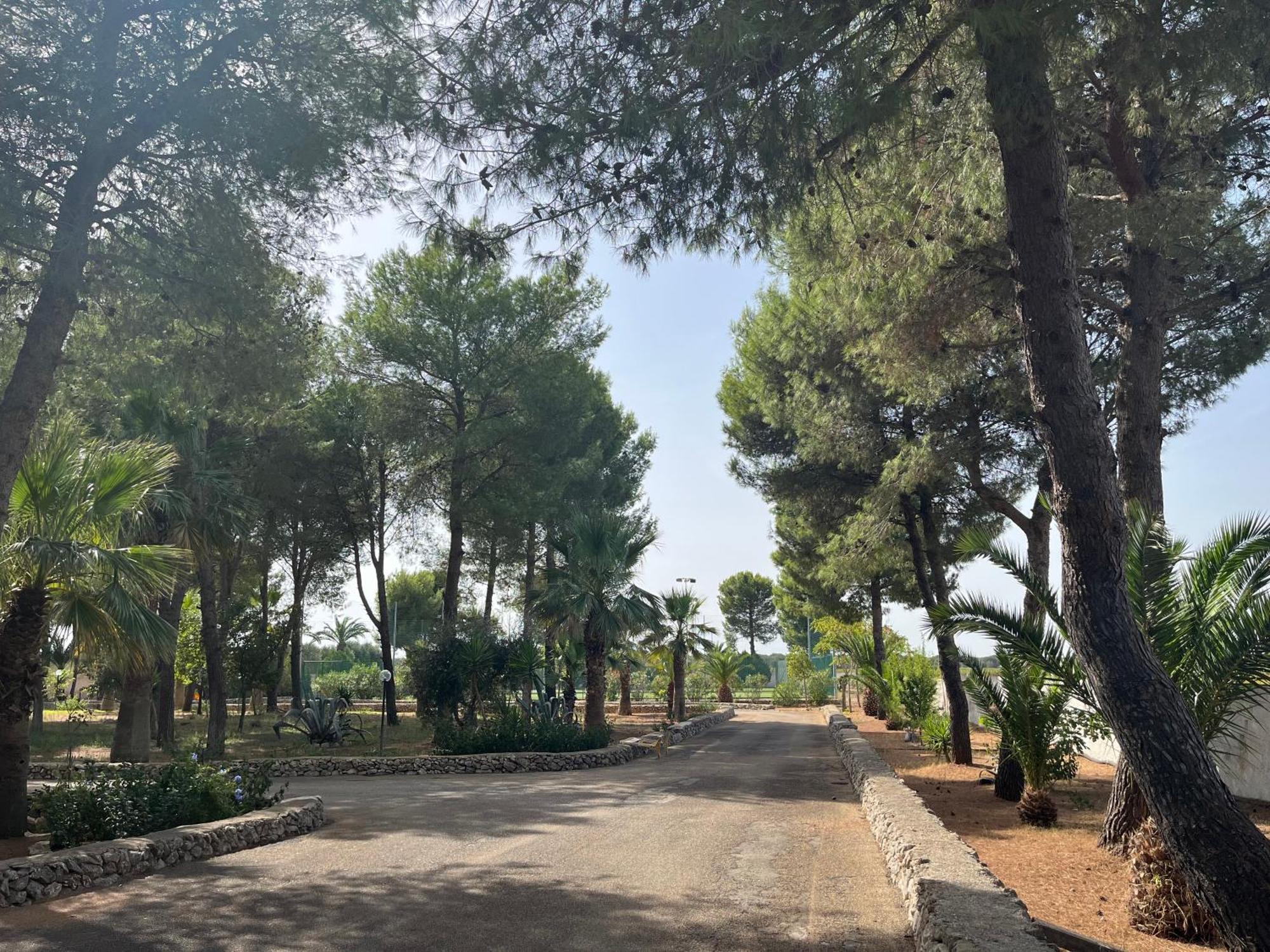 Casette Masseria La Camardia Sava Esterno foto