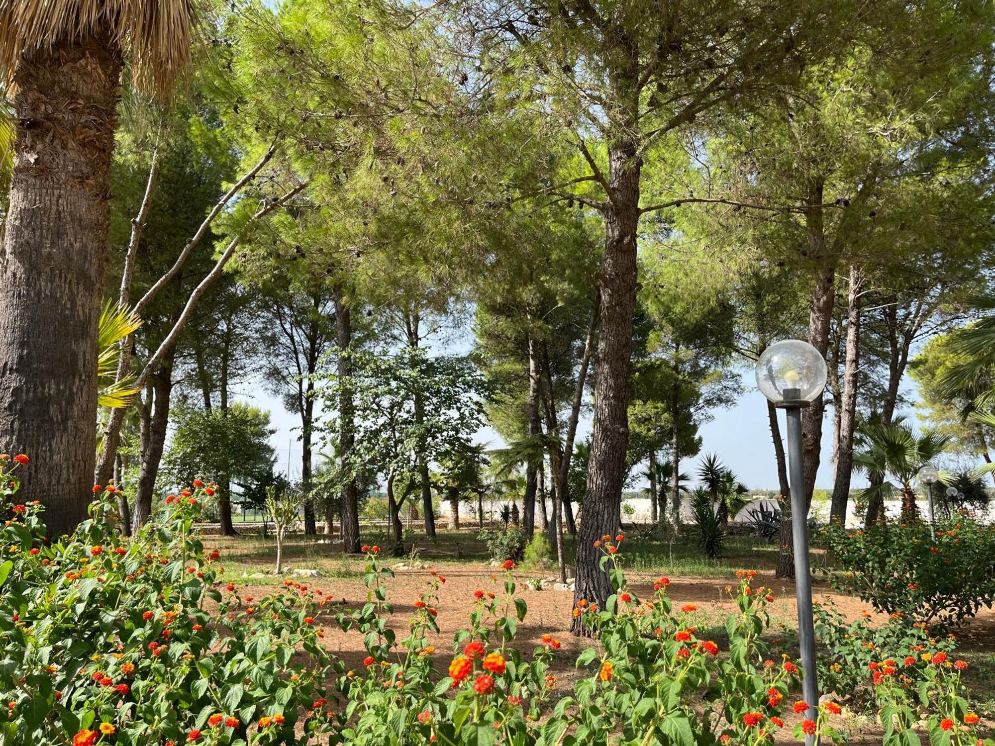 Casette Masseria La Camardia Sava Esterno foto