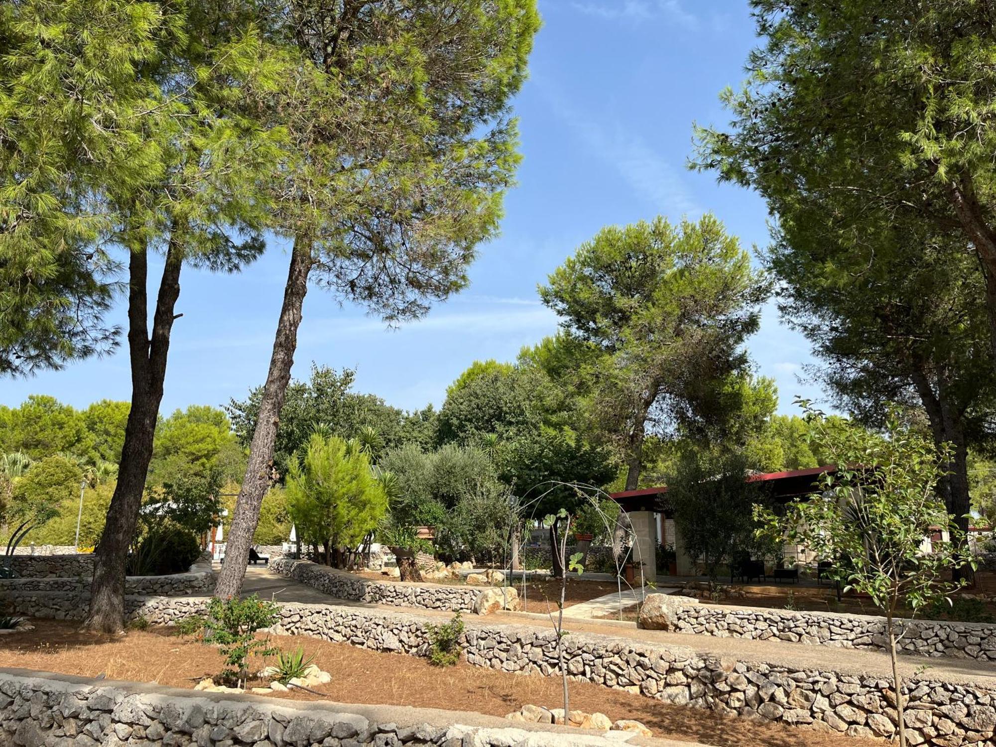 Casette Masseria La Camardia Sava Esterno foto
