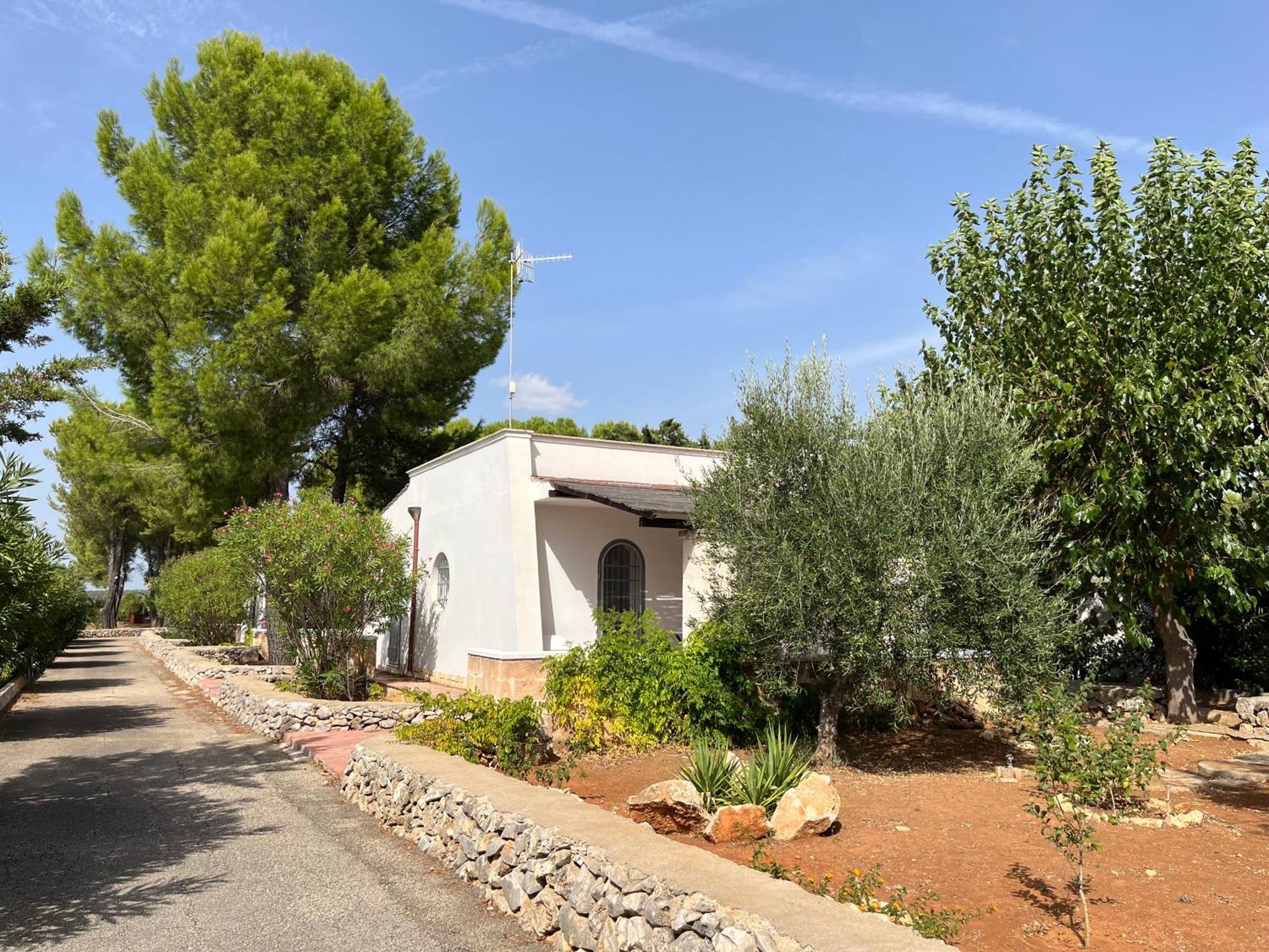 Casette Masseria La Camardia Sava Esterno foto