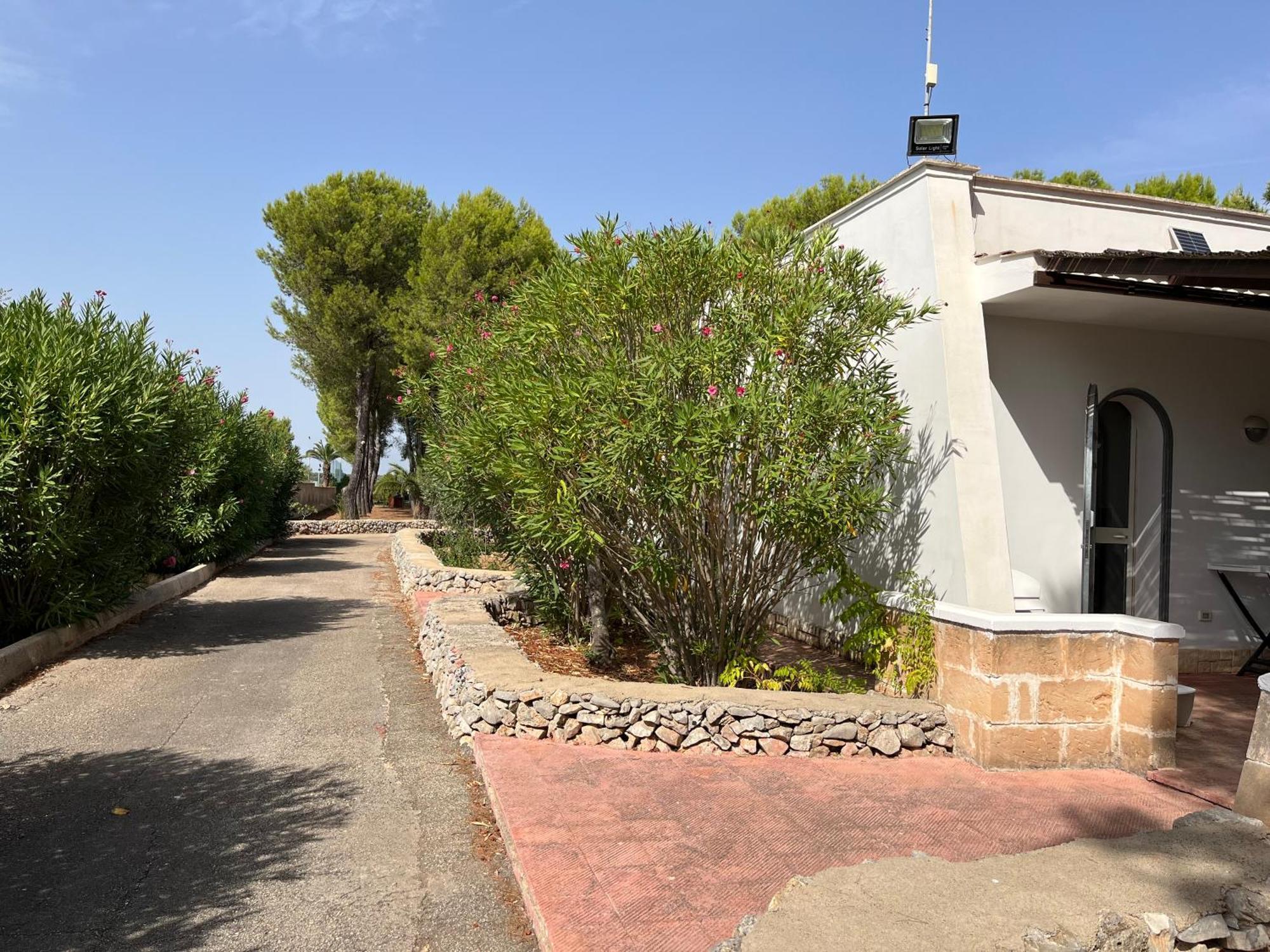 Casette Masseria La Camardia Sava Esterno foto