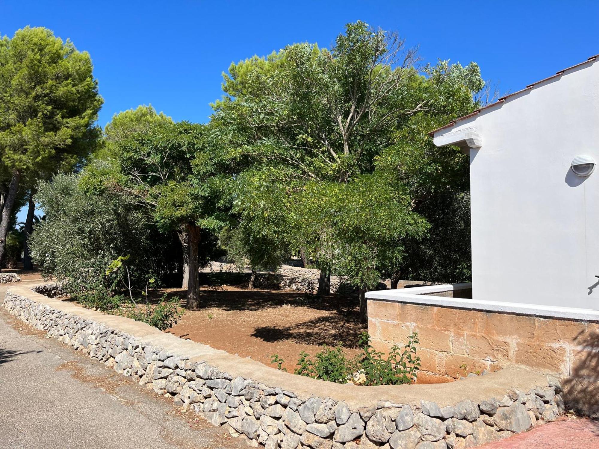 Casette Masseria La Camardia Sava Esterno foto