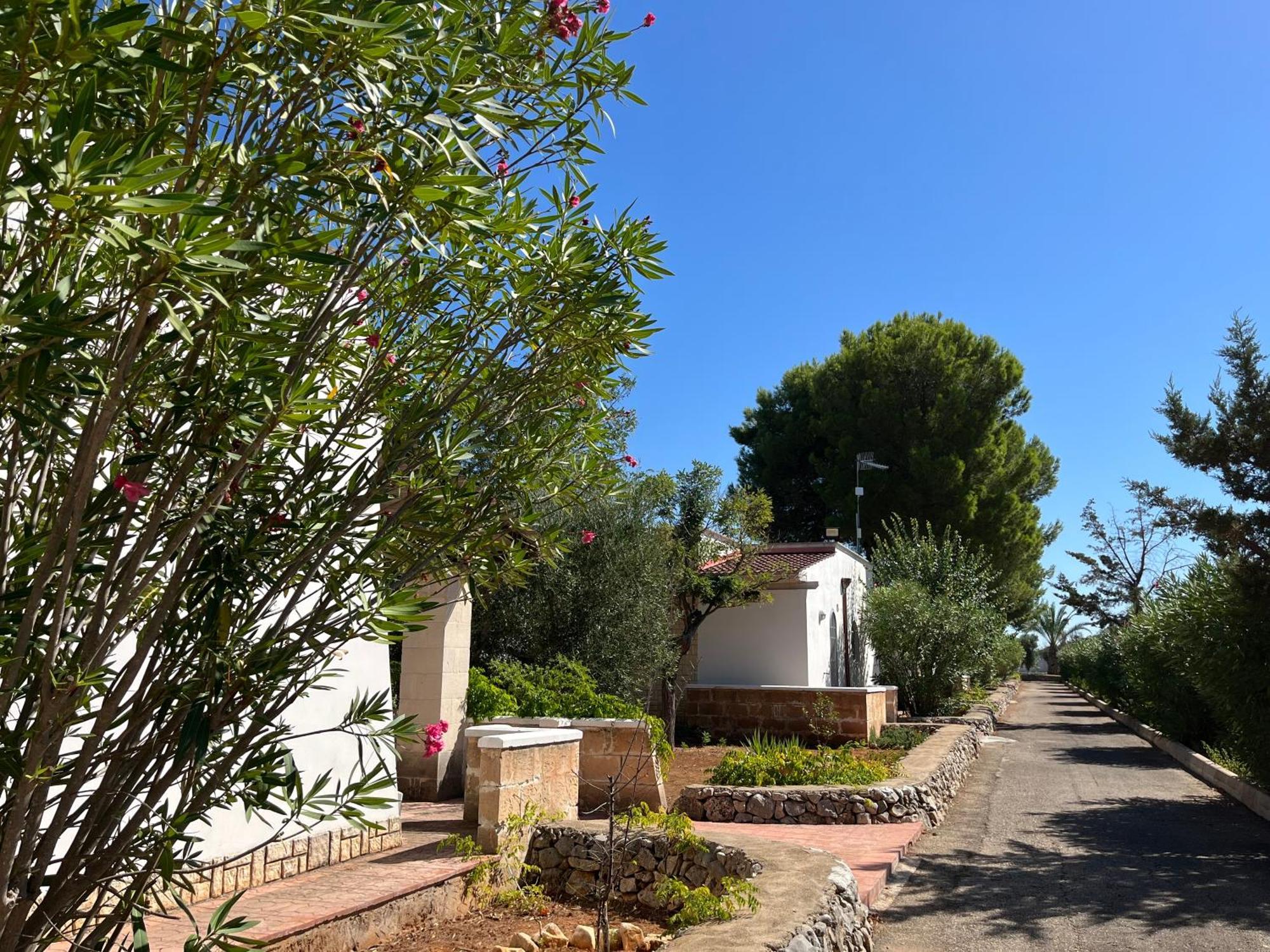 Casette Masseria La Camardia Sava Esterno foto