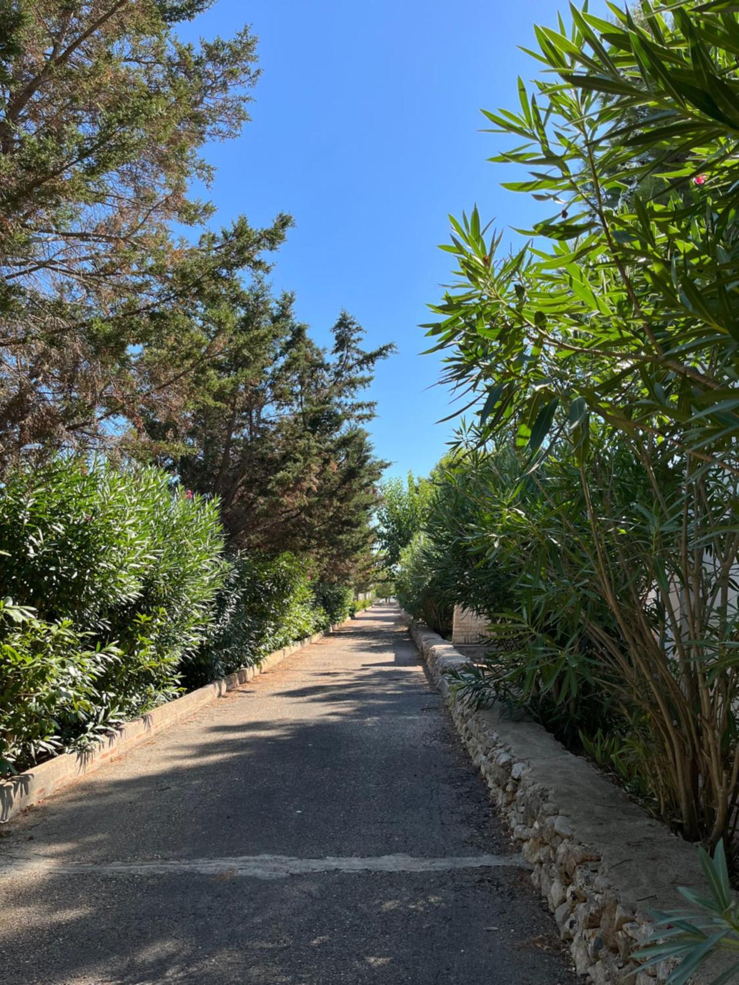 Casette Masseria La Camardia Sava Esterno foto